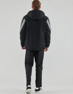 Adidas Sportswear Manteaux^- FUTURE ICONS