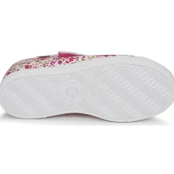 Citrouille et Compagnie - APSUT Rose Outlet
