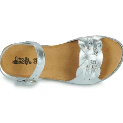Citrouille et Compagnie - ANEMONI Argent New