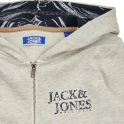 Jack & Jones Sweats & Polaires^- JORCRAYON SWEAT ZIP HOOD