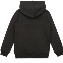 Levi's -  BATWING FILL HOODIE< Sweats & Polaires