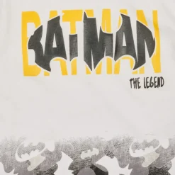 TEAM HEROES - ENSEMBLE BATMAN Multicolore Best
