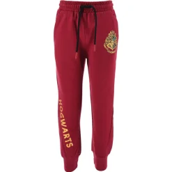 TEAM HEROES  - JOGGING HARRY POTTER Violet New