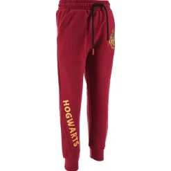 TEAM HEROES  - JOGGING HARRY POTTER Violet New