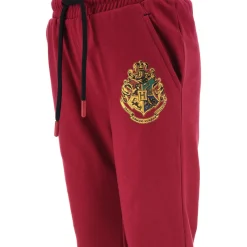 TEAM HEROES  - JOGGING HARRY POTTER Violet New